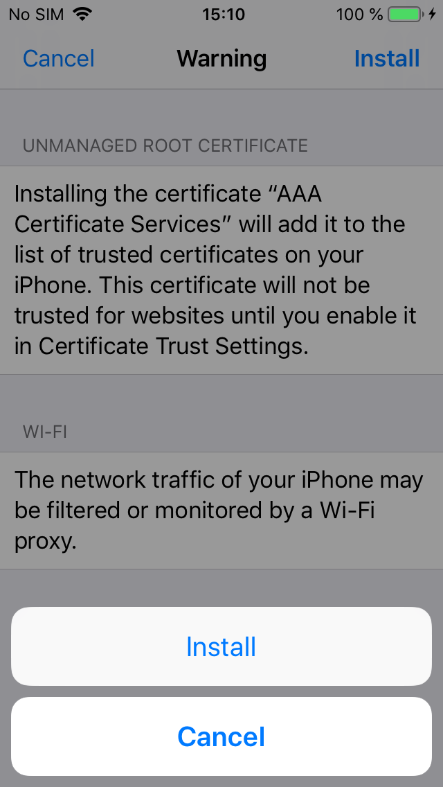 Screenshot iOS Settings - confirm cerfiticate installation