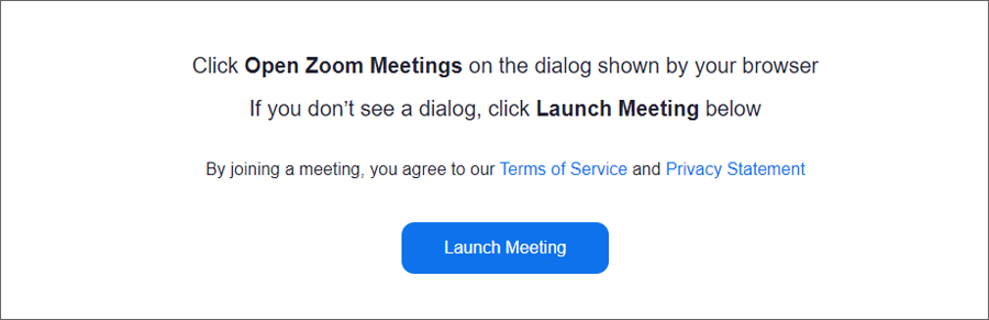 Launch Meeting