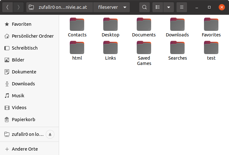 Screenshot Ubuntu Dateimanager - Netzlaufwerk verbunden