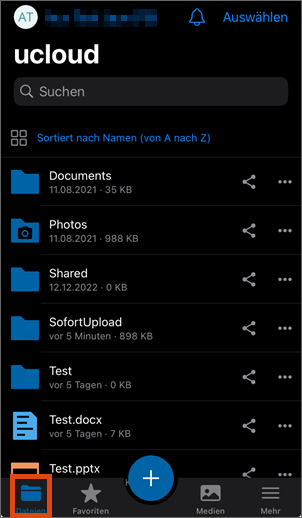 Screenshot Bereich Dateien