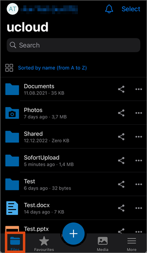 Screenshot Files area