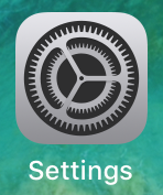 Screenshot iOS - settings icon