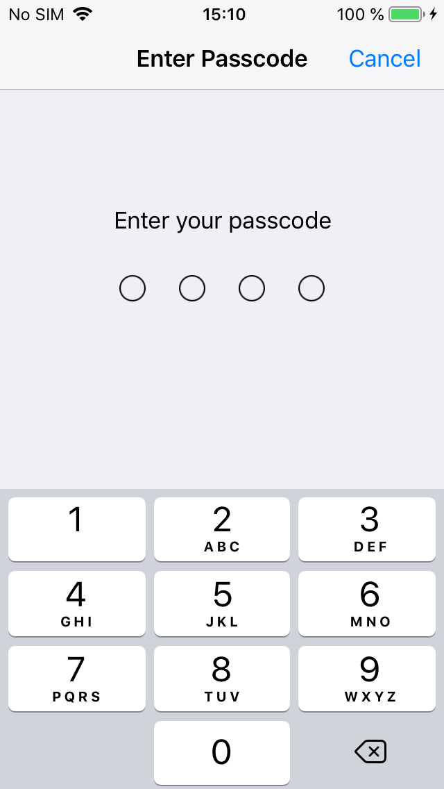 Screenshot iOS enter passcode