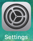 Screenshot iOS - Settings icon