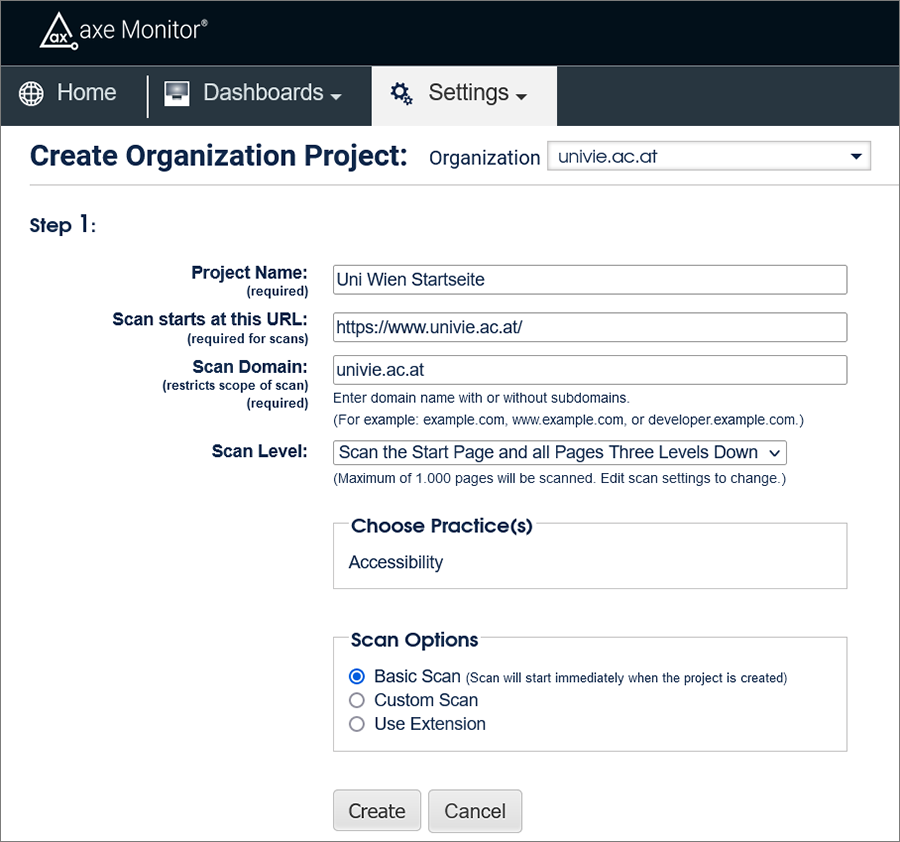 Create Organization Project Seite mit Feldern für Name, URL, Scan Level und Options.