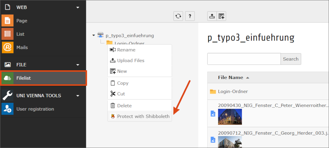 Screenshot protect files 
