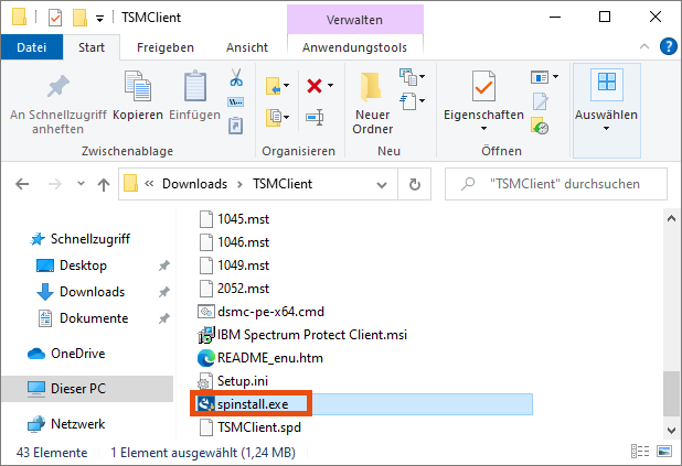 Screenshot Windows execute file