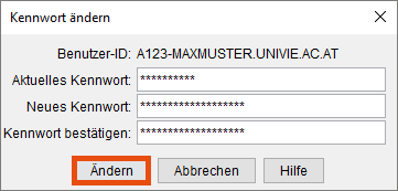 Screenshot Windows Passwort eingeben 
