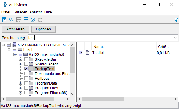 Screenshot Windows Dateien auswählen 