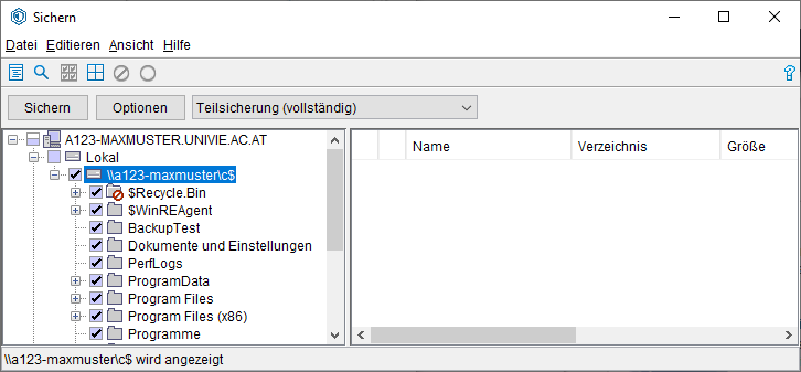 Screenshot Windows Dateibaum Objekte auswählen 