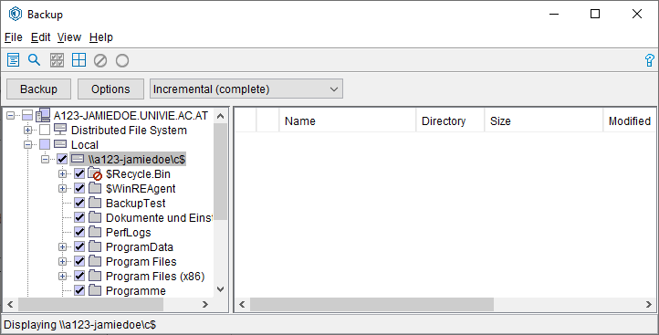 Screenshot Windows directory selecting files