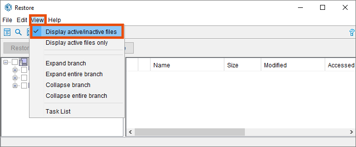Screenshot Windows display active files