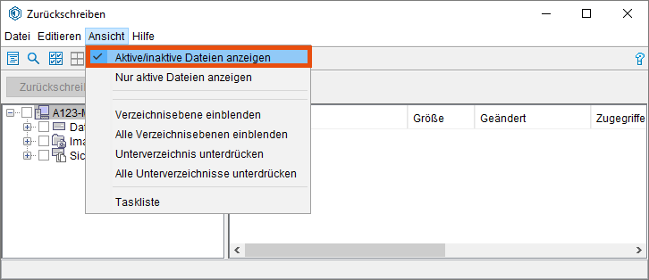 Screenshot Windows Aktive/Inaktive Dateien anzeigen 