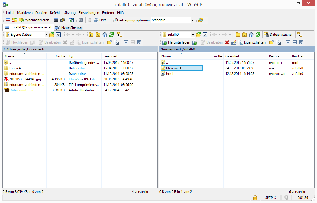 Screenshot SFTP Fileserver Daten